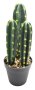 Artificial Cactus Plants 2021024