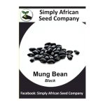 Beans Mung Black 30'S