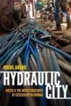 Hydraulic City - Water And The Infrastructures Of Citizenship In Mumbai Hardcover