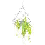 Gem Hanging Planter - White Textured