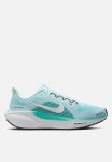 Nike Pegasus 41