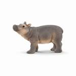 Wildlife - Hippopotamus Baby
