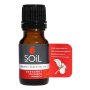 Aromatherapy Oil 10ML Bergamot