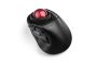 Orbit Fusion Wireless Trackball K72363WW