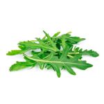 Sweet Rocket 12CM Pot