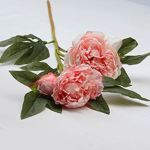 Peonie Light Pink 3 Stems 70 Cm