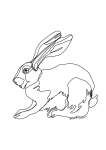 Riverine Rabbit Single Line Art Print - A4