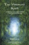 The Visionary Spirit - Awakening To The Imaginal Realm In The Transformocene Age Paperback