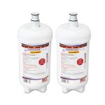 American Filter Company Water Filter Model AFC-BG3C-S Compatible With Body Glove R BG-3000C 2-FILTERS