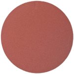 Sanding Disc Psa 125MM 120 Grit No Hole 10 PK