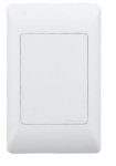 Noble Pays 4X2 Blank Cover Plate