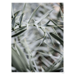 Wabi Art Print - A2