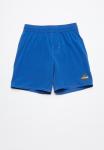 Calvin Klein Mom Shorts - Light Blue