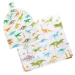 Dino Bamboo Blanket & Beanie Set By