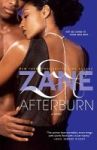 Afterburn: A Novel Paperback 1ST Atria Books Pbk. Ed