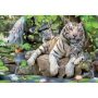 Educa Jigsaw Puzzle - White Tigers Of Bengal 1000 Pieces