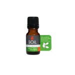 Aromatherapy Oil 10ML Basil