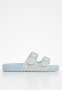 Teddy-pr Slide - Baby Blue