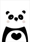 Panda - Acrylic Wall Print - 600MM X 600MM