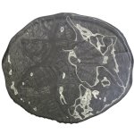 Interlude - Piatto Torta Cake Plate - 31CM