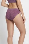 Senza Ladies 4 Pack Seamless Nylon-spandex Low-rise Bikini Briefs