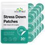 Solotree Stress Down Patches 30 Pack With Vitamin B Complex And Ashwagandha