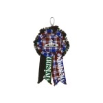Rosette Charm -multi
