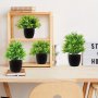 4 Pack Small Eucalyptus Potted Faux Decorative Grass Plant With Black Plastic Pot For Home Decor Indoor Office Desk Table Decoration