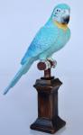 Blue Flocked Parrot – 37X27CM