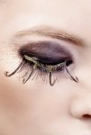 Black Gold Feather Eyelashes