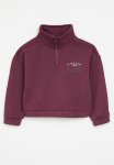 Cotton On Naomi Half Zip Pullover - Crushed Berry pony Club