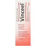 Vinceel Spray 20ML