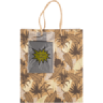 Medium Foiled Gift Bag