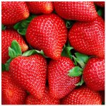 Strawberry Sweet Concentrate - 10ML