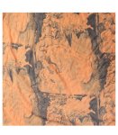 Birth Of Venus Print Scarf - Orange Free