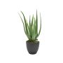 Artificial Aloe Vera Plant 46CM