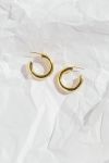 Lions Eye Studs