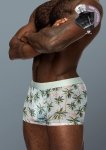 The Matchmaker Seamless Sheer Short