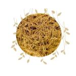 Cat's Claw Powder - 100G