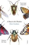 A Buzz In The Meadow
