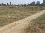Business Zoned Stand - Filling Station