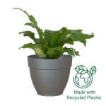 Capri Campana Plant Pot - 20CM Anthracite