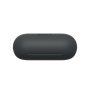 Sony WF-C700N Black True Wireless Earbuds