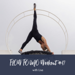 Flow Fomo Workout 17 Lisa R