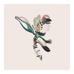 Bloom Pink Art Print - A3 420 X 297MM