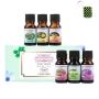 Essential Oils Set Of 6