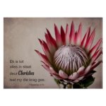 Disposable Placemat Protea Flippense 24 Piece