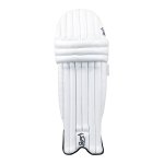 Pro 8.0 Youth Cricket Pads