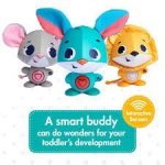Wonder Buddies