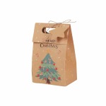 Xmas Tree Box With Twine Tag Pack Of 5